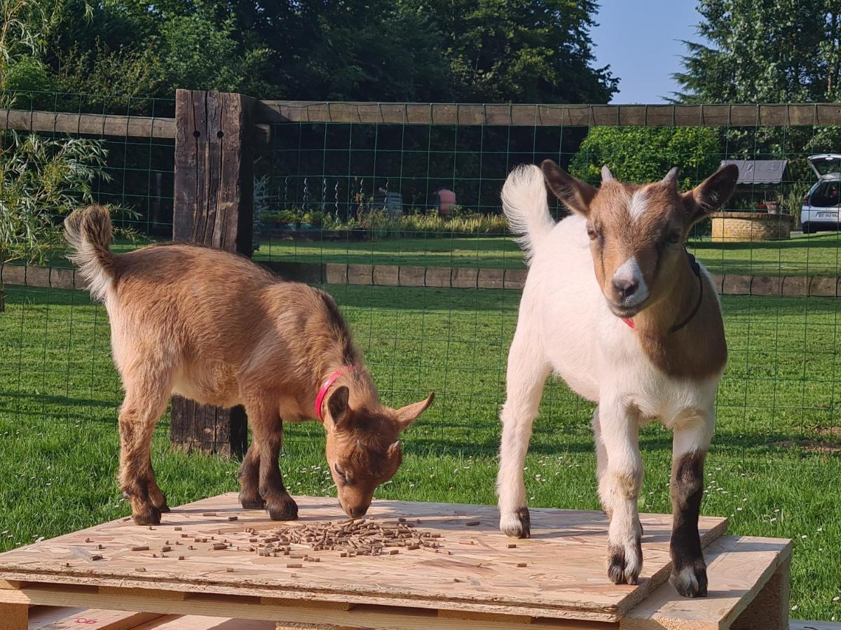 Gite Le Manege Normand Grand-Camp  外观 照片